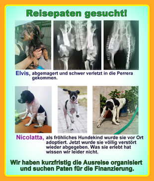 Reisepaten gesucht