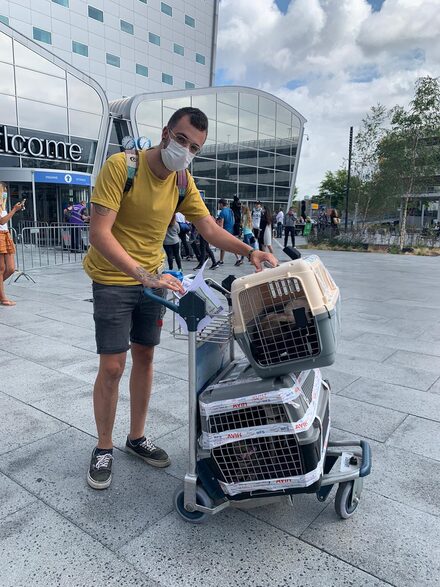 Ankunft auf dem Flughafen