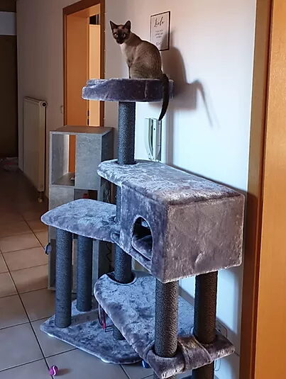 Nico und Fay