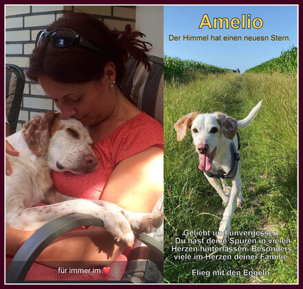 Amerlio
