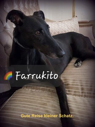 Farrukito
