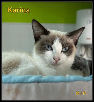 Karina