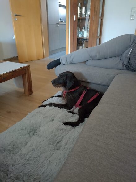Lua
