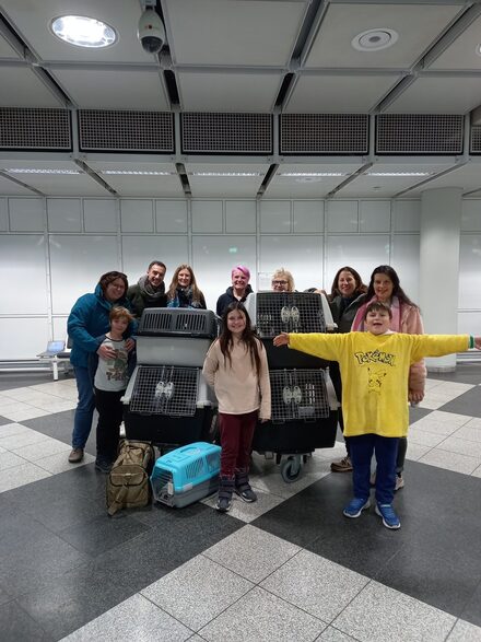 travel