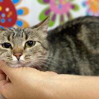 Ankara und Keisha