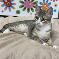 Ankara und Keisha