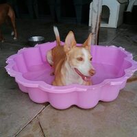 Benito