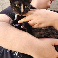 Cuquita