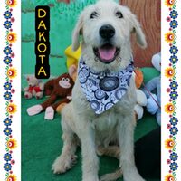 Dakota