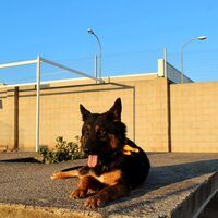 Helios