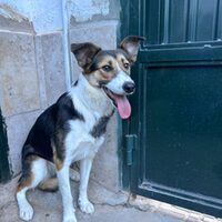 Julieta
