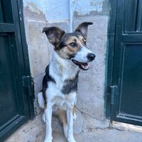 Julieta
