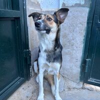 Julieta