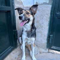 Julieta
