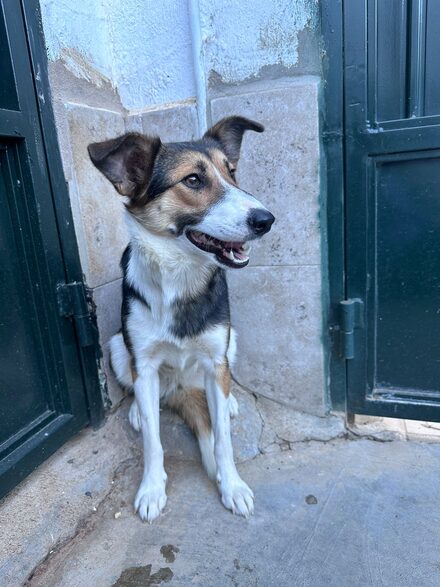 Julieta