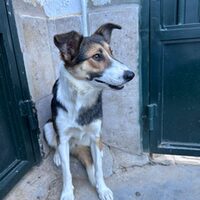Julieta