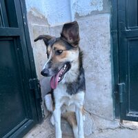Julieta