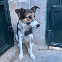 Julieta