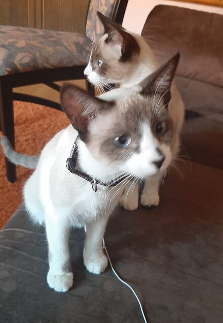 Kin und Madison