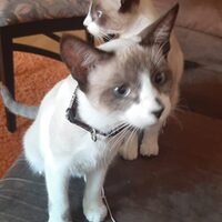 Kin und Mdison