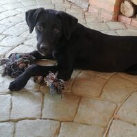 Makumba