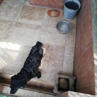 Maggie
