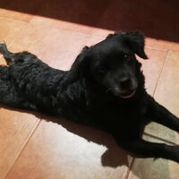 Maggie