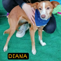 Diana
