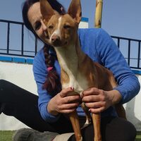 Calimero