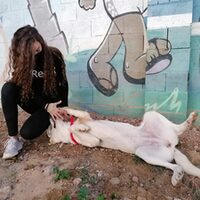 Atika