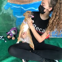 Haizea