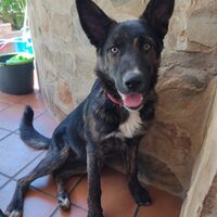 Leire