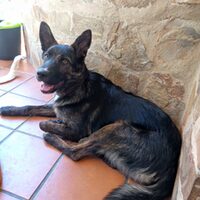 Leire