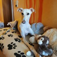 Im neuen Zuhause