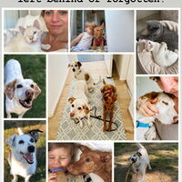 Bilder für die Collage