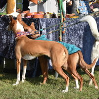 Cita-24 Fotos