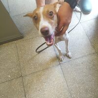 Keko