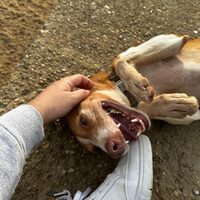 Keko