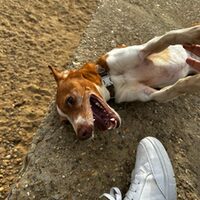 Keko
