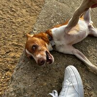Keko