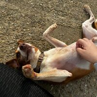 Keko