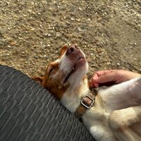 Keko
