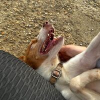 Keko