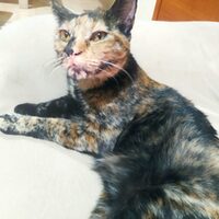 Telma