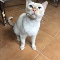Lucy