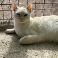 Lucy
