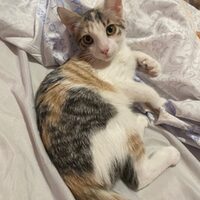 Valeria