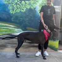 Tyson Galgo