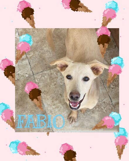 Fabio