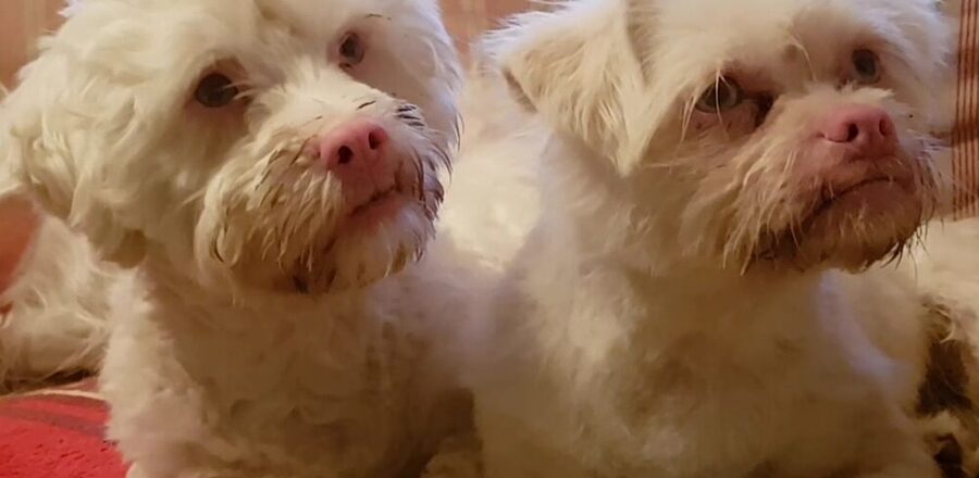 arti&ole